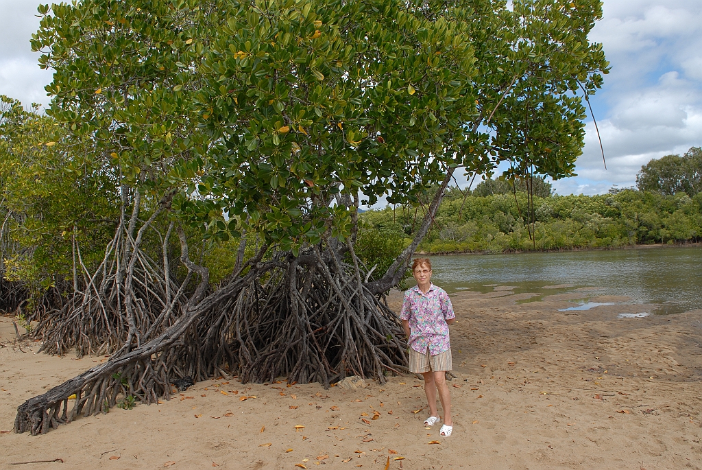 0377 Machans Beach.jpg